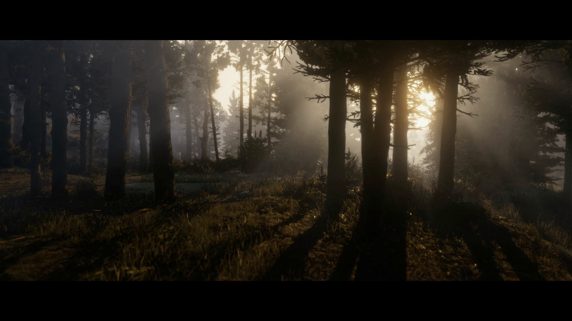http://www.rdrvision.com/images/content/red-dead-redemption-2/trailer_1/red-dead-redemption-2_trailer-1_04.png
