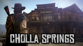 Cholla Springs Cholla Springs