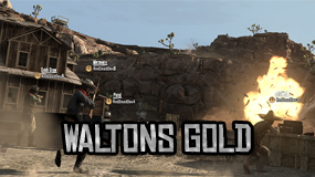 Walton's Gold