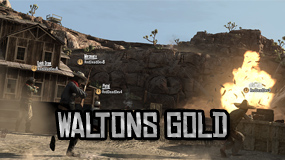 Walton's Gold Walton's Gold