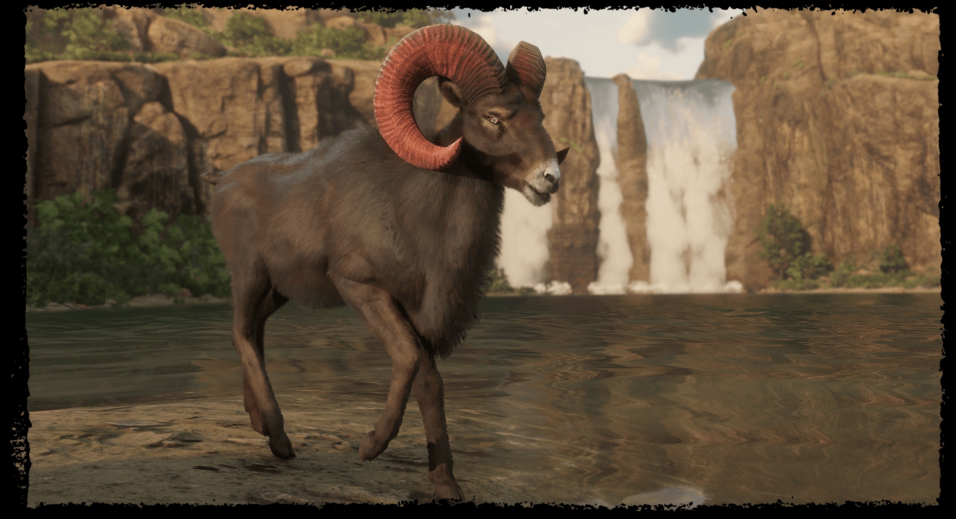 The Naturalist Jetzt In Red Dead Online Verfugbar Rdrvision Com Red Dead Redemption 2 Red Dead Redemption 1 And Red Dead Revolver News Downloads Community And More 1st Fansite